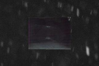 ‘Ivy Charcoal’ video